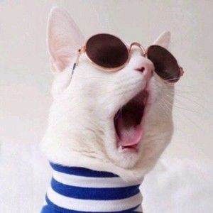 Meet your Posher, Steven